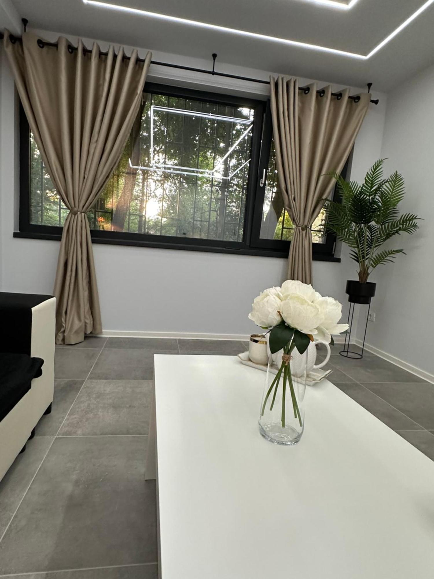 Ppu Home Timişoara Exterior foto